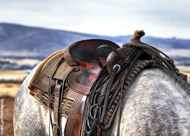 Foto de una silla de montar que revela lo que significa soñar con un caballo