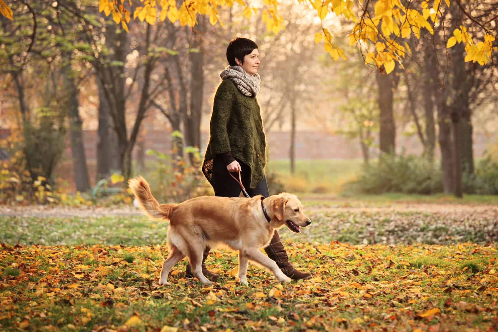 mujer paseando a su perro en el parque
